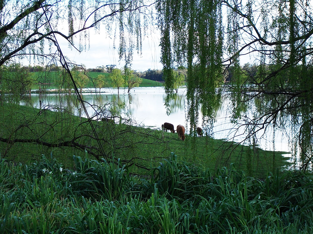 Yarra Flats in Australia